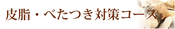 皮脂・べたつき対策コース