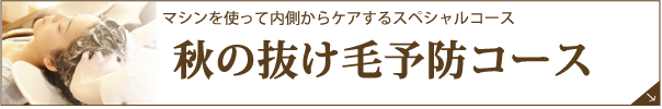 秋の抜け毛予防コース